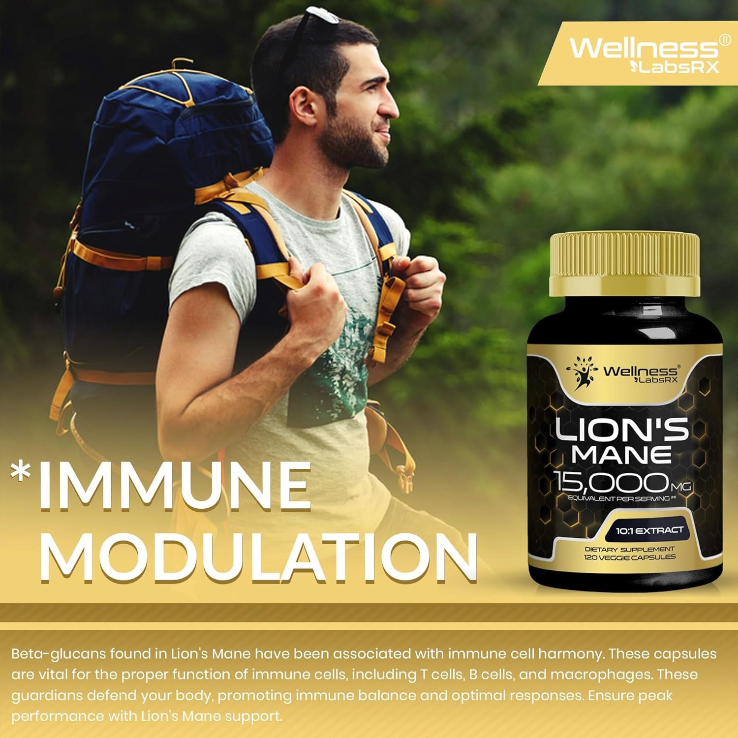 Lions Mane Supplement Capsules - 120 Count - Mushroom Supplement, Brain Suppleme
